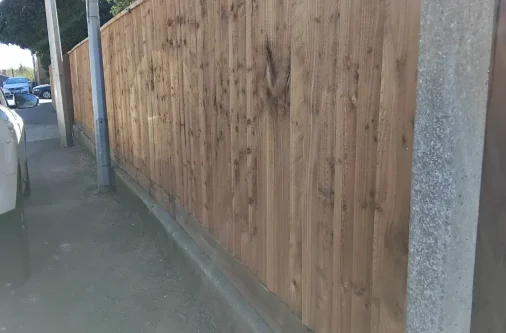 Fencing-n9
